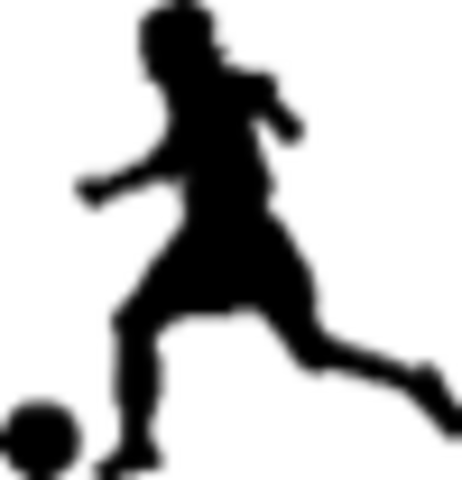 BEGIN FITNESS PROGRAM