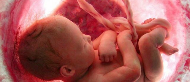 setmana 22(primeres respostes)