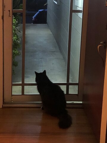 Keeping watch in these scary times.