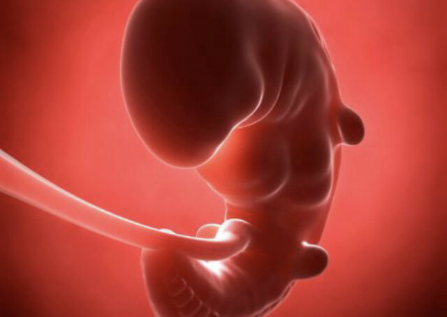 Implantació (1a semana d'embaràs)