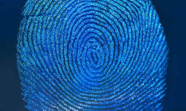 Fingerprint ID