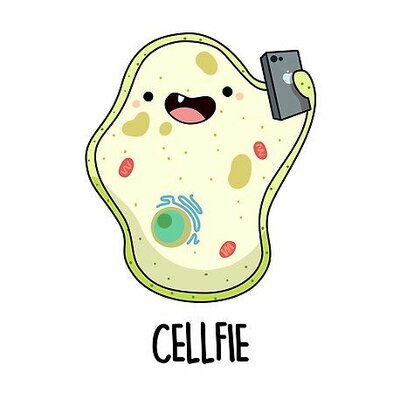 Timeline: Teoría celular en una línea de tiempo