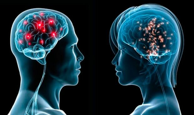 Equipo neuronal del hombre