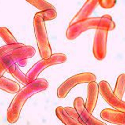 Timeline: Historia de la Microbiología