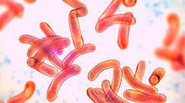 Timeline: Historia de la Microbiología