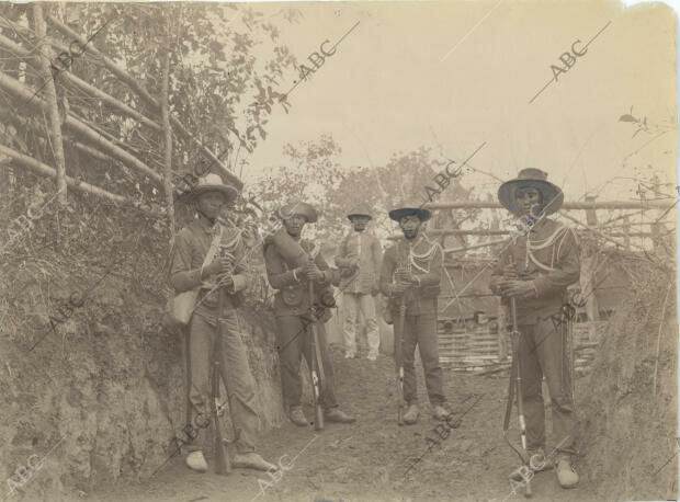 Las tropas rebeldes, dirigidas por Venustiano Carranza, se dividieron de la siguiente manera