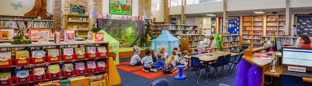 Checking out books from the school library