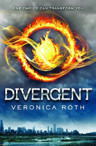 The Divergent Series