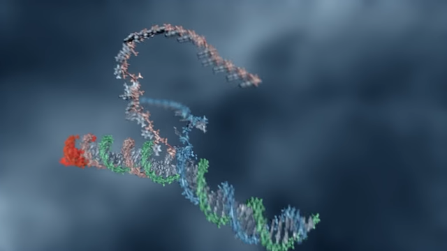 Microsoft tells us about "Programming DNA"