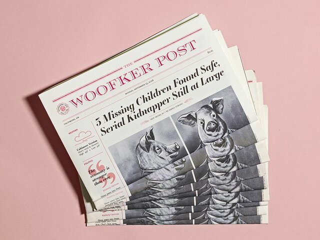 the year I grew a liking to newspapers