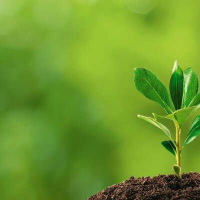 Timeline: Desarrollo sustentable