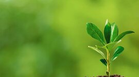 Timeline: Desarrollo sustentable