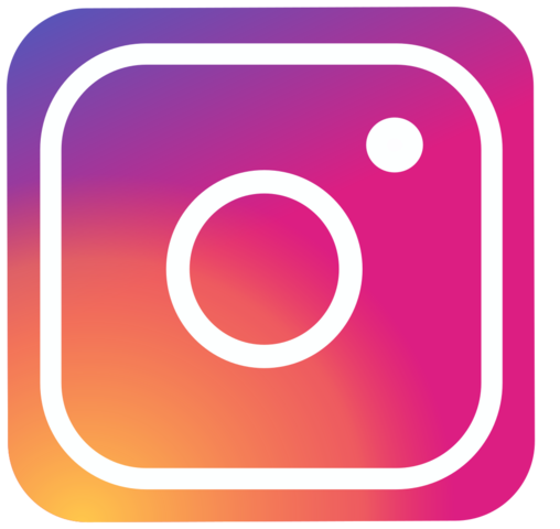 the year I immersed myself in social media