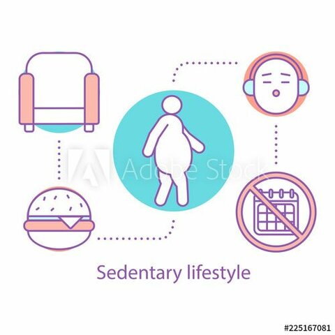 the year I let the Internet take over my life