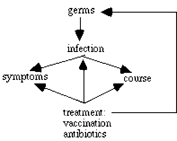 Germ Theory Introduced by Louis Pasteur