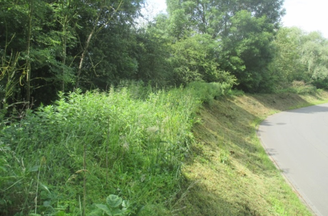 Cinquième campagne d'échantillonnage (butte paysagère)