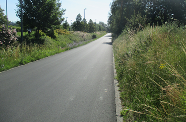Septième campagne d'échantillonnage (butte paysagère)