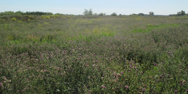 Septième campagne d'échantillonnage (TD26)