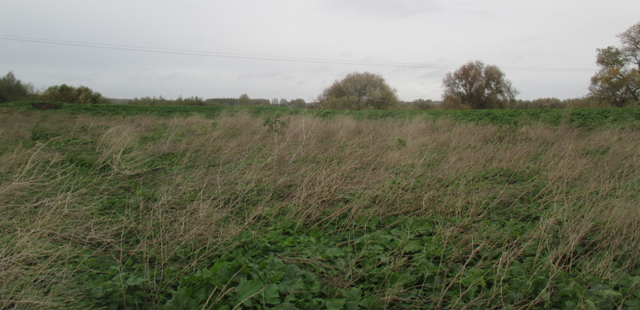 Huitième campagne d'échantillonnage (TD26)