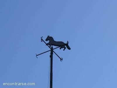 Replica de la veleta