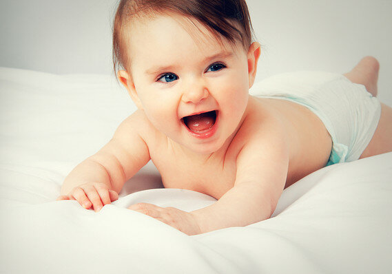 Eleven to Twelve Months