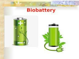 bio battery