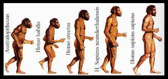 Aparicion del hombre