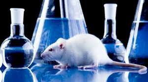 Farmacología experimental (mediados del siglo XIX a mediados del siglo XX.)