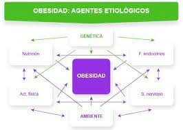 Bases genéticas de la obesidad