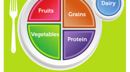 Timeline: The Americans Dietary Guideline Symbols Over the Years