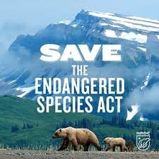 Engaged Species Act