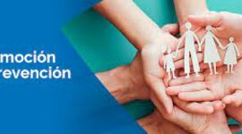 Timeline: Cartas de P & P