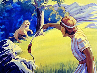 David protect his sheep