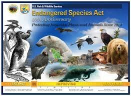 Engaged Species Act