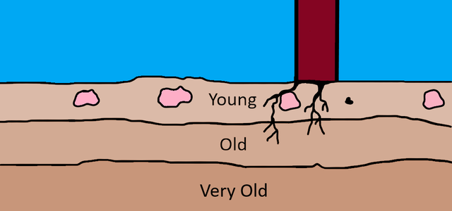 The Law of SuperPosition is Proposed