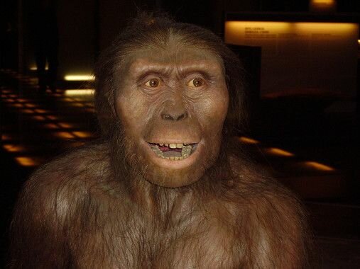 EL PASADO DE LA ESPECIE HUMANA
