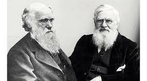 Darwin y Alfred