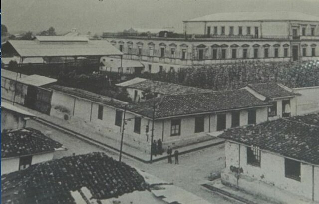 Cursos optativos en el plan de estudios