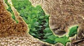 Timeline: Evolución de las políticas agrícolas en México