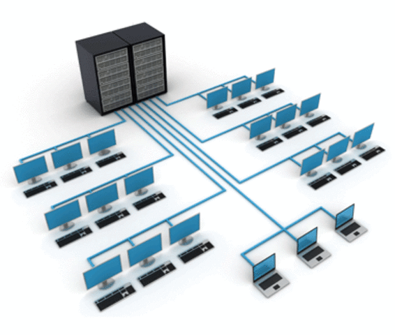 1000 computadoras conectadas.