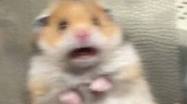 Timeline: La evlolució de la tecnologia