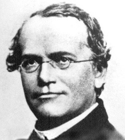 "Father of Genetics"