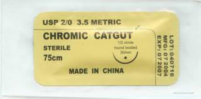 Cat Gut Suture