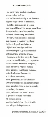 A UN OLMO SECO