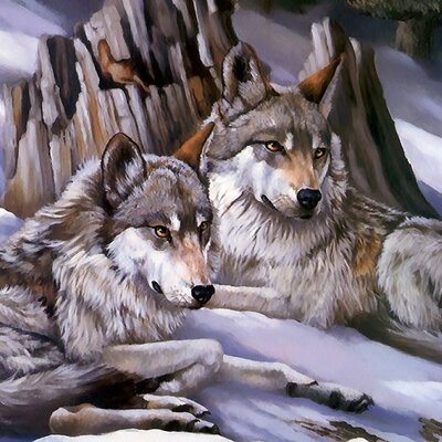 Timeline: COMO LOS LOBOS CAMBIARON EL CURSO DE LOS RÍOS