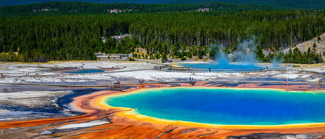 Como afecto a los arboles