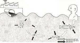 causa de la enfermedad