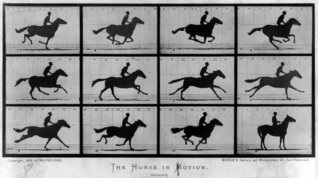 First "film" ever made