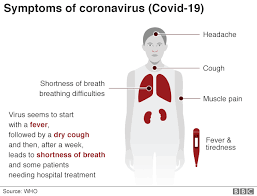 Global Pandemic begins 2020