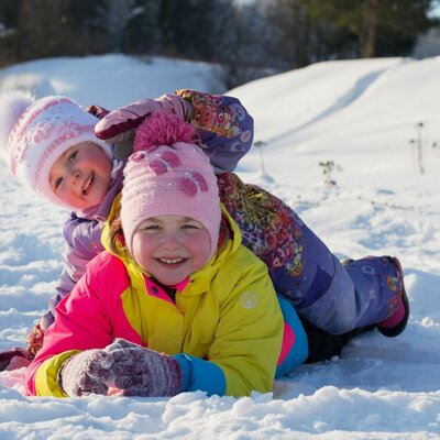 Timeline: Проектная деятельность учащихся. Тема проекта «Зимние забавы в творчестве художников, композиторов и поэтов».
